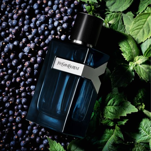 YVES SAINT LAURENT  3614273898478
